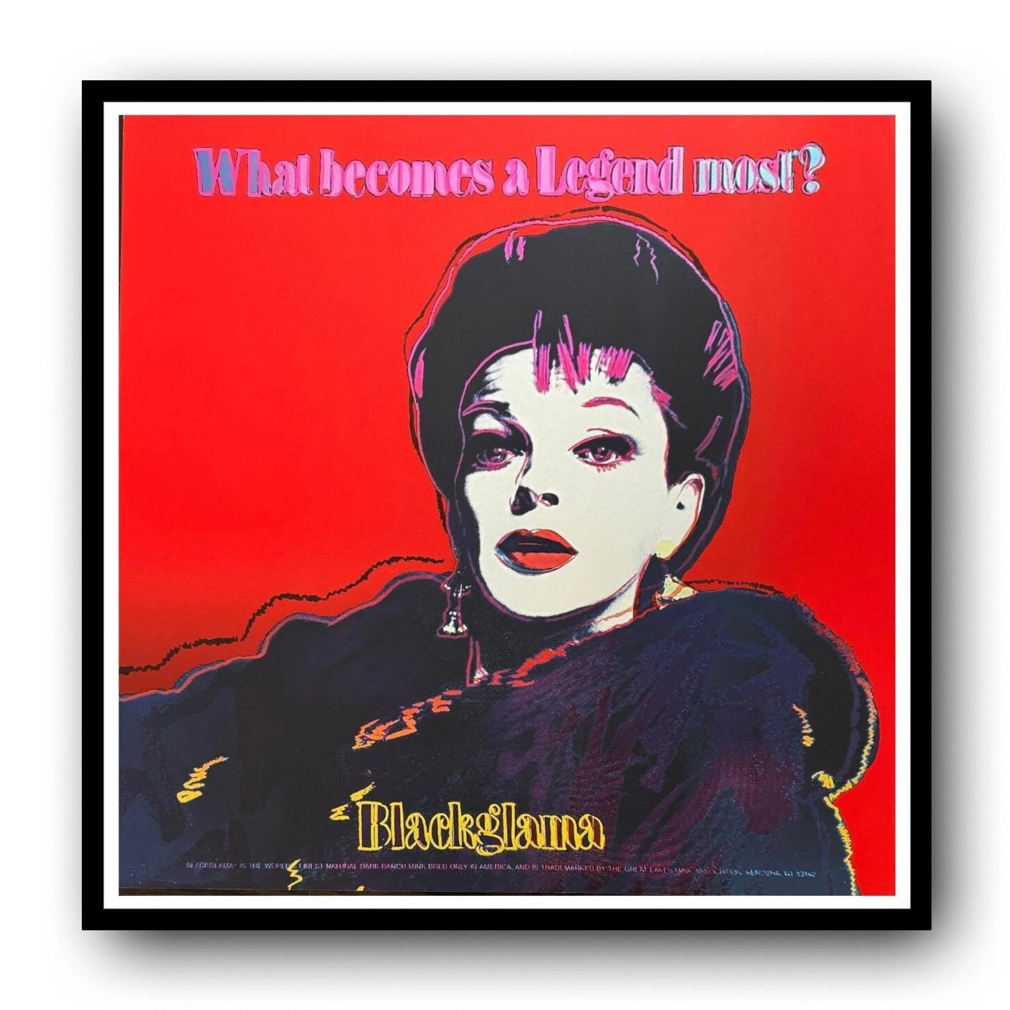 Framed artwork of a stylized portrait with text on a red background